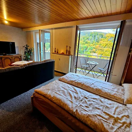 Apartment Gemuetliche Ferienwohunung Bad Grund